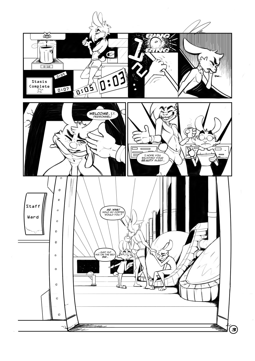 Page 3
